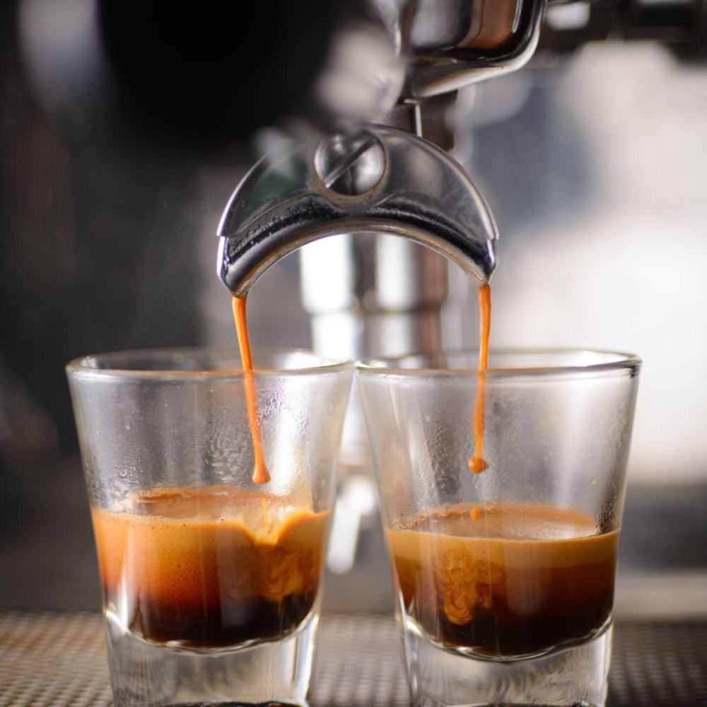 SUMATRA MANDHELING - Single Origin