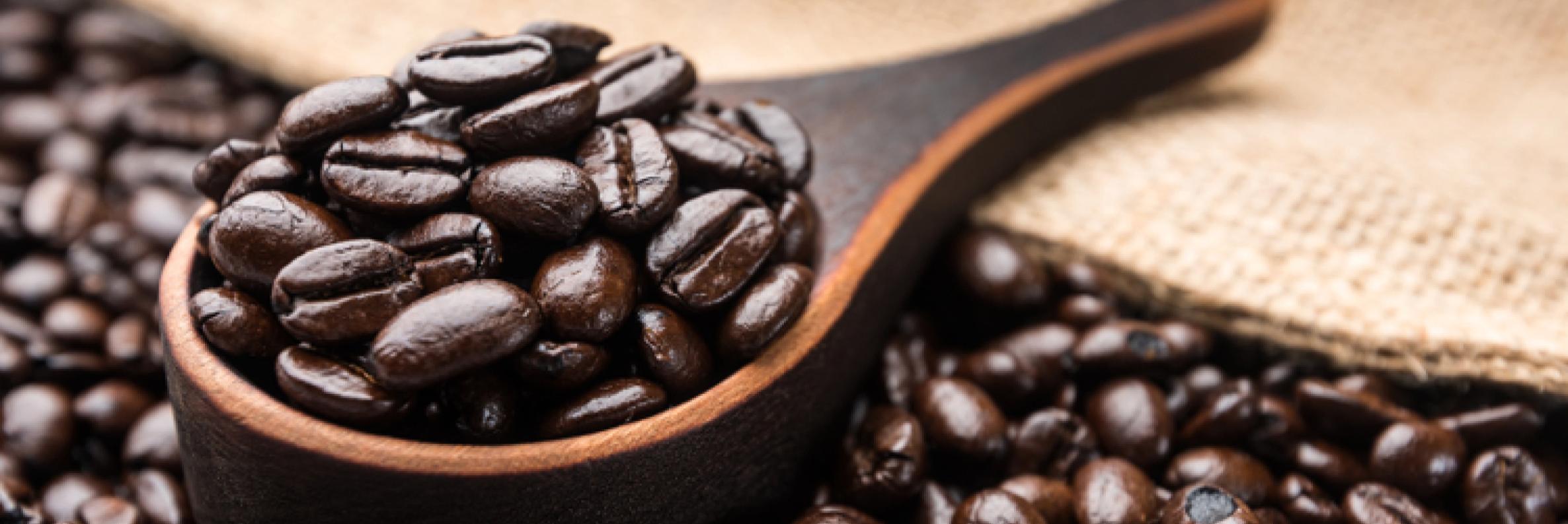 THUNDERCHILD BLEND - Dark & Intense